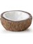 E x Coconut Su Kabı Water Dish 1