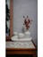 Home Decor Homedec Sevimli Ayıcık, Kaktüs Saksısı ve Çizgili Vazo Set 4 Parça 3