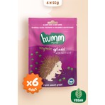 Humm Organic Vegan Pancarlı Grissini Atıştırmalık Paketi - 6 Adet Organik Şeker İlavesiz ve Renklandırıcısız