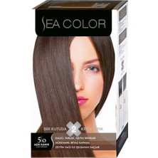 Sea Color Set Boya 5.0 Açık Kahve