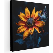 Painted Anarchy Kır Çiçeği Duvar Dekorasyonu - Canlı Kontrast - Kır Çiçeği, Yüksek Kontrastlı Fotoğraf, Ev Dekorasyonu, Kır Çiçeği, 30X30