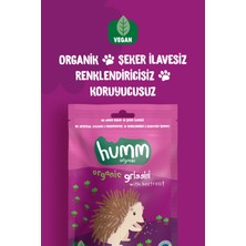 Humm Organic - Organik Vegan Pancarlı Grissini Atıştırmalık Paketi - 6 Adet