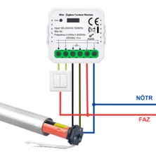 Novato Tuya Uyumlu Zigbee Perde Panjur Kepenk Kontrolcüsü ( 220V / 3A ) - Mobil Uygulama, Anahtar Girişli, Otomatik Kalibrasyon, Yüzdesel Kontrol, Google Asistan Amazon Alexa Destekli Switch