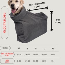 Köpek Kurulama Tulumu, Tasarım Ödüllü, Hızlı Kurutur