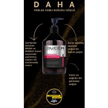 Ducca Repairing Shampoo 1000 ML (Onarıcı Şampuan - Tuzsuz, Keratin İçerikli)