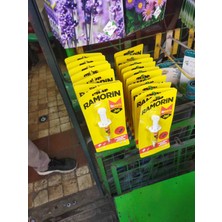 Ramorin Hamam Böceği Jeli