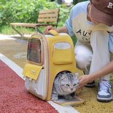 Aligs Kedi Çantası Dışarı Çıkıyor Yarı Saydam Sırt Çantası Evcil Hayvan Çantası Kedi Sırt Çantası Katlanabilir Taşınabilir El Nefes Alabilen Kedi Çantası (Yurt Dışından)