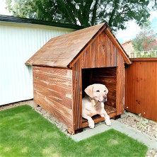 Weblonya Köpek Kulübesi Ahşap Köpek Evi Köpek Yuvası 2024