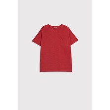Babokah(Kids Boy) Cepli Flamlı Comfort Fit Organik pamuk T-shirt