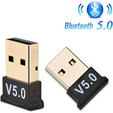 Hiqonic Bluetooth 5.0 Mini USB Donglealıcı Bilgisayar Televizyon Kamera Uyumlu Dangıl