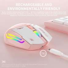 Blackbird Game Center Pembe Rgb Şarjlı Kablosuz 1600DPI Işıklı Kablosuz Mouse Bwm1