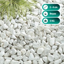 Bozsan Beyaz Taş 2-4cm Dolomit Taşı Bahçe Süs Akvaryum Taşı Dere Çakıl Taşı 5 kg