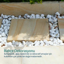 Bozsan Beyaz Taş 2-4cm Dolomit Taşı Bahçe Süs Akvaryum Taşı Dere Çakıl Taşı 5 kg