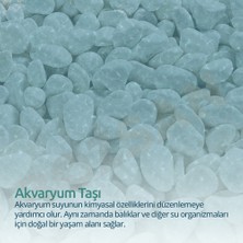 Bozsan Beyaz Taş 2-4cm Dolomit Taşı Bahçe Süs Akvaryum Taşı Dere Çakıl Taşı 5 kg