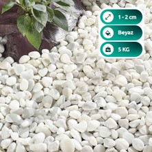 Bozsan Beyaz Dolomit Taş 5 kg 1-3cm Dolomit Taşı Bahçe Süs Akvaryum Taşı Dere Çakıl Taşı