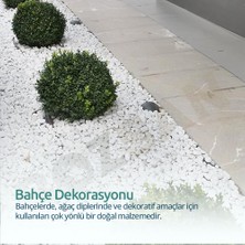 Bozsan Beyaz Dolomit Taş 5 kg 1-3cm Dolomit Taşı Bahçe Süs Akvaryum Taşı Dere Çakıl Taşı