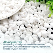 Bozsan Beyaz Dolomit Taş 5 kg 1-3cm Dolomit Taşı Bahçe Süs Akvaryum Taşı Dere Çakıl Taşı