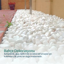 Bozsan Beyaz Dolomit Taş 3 kg 4-6cm Dolomit Taşı Bahçe Süs Akvaryum Taşı Dere Çakıl Taşı