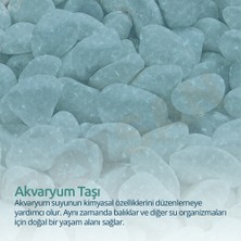 Bozsan Beyaz Taş 4-6cm Dolomit Taşı Bahçe Süs Akvaryum Taşı Dere Çakıl Taşı 5 kg