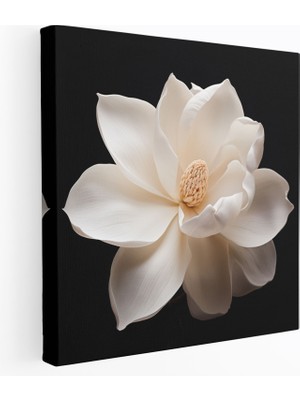 Painted Anarchy Manolya Duvar Dekorasyonu - Manolya, Kanvas Tablo, Beyaz ve Krem, Premium Kanvas, 30X30