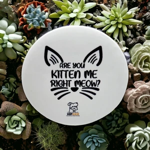 Are You Kitten Me Açacak Magnet