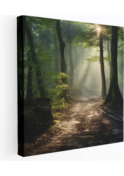 Fidanlık Orman Kanvas Tablo - Fidanlık, Kanvas Tablo, Sakin Orman Manzarası, 30X30