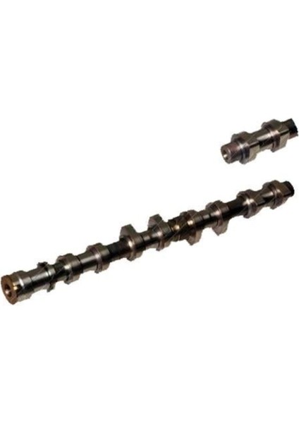 ESTAS 40037 Estas 40037 Eksantrik Mili Egzoz 206 207 307 1007 Partner / Xsara C3 C4 Berlingo / Focus 1.6 16V