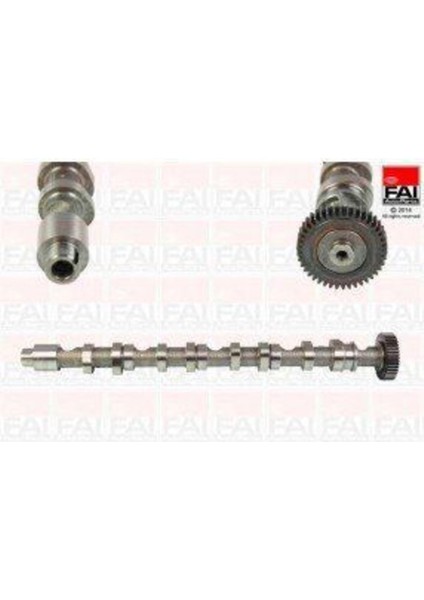 ESTAS 58138 Estas 58138 Eksantrik Mili Emme Golf Bora Jetta Passat 1.6 Fsı 115PS