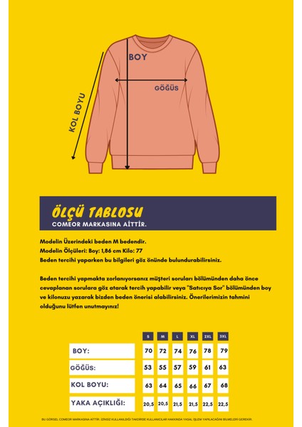 Erkek Gri Bisiklet Yaka Nakış Detaylı Regular Fit Sweatshirt