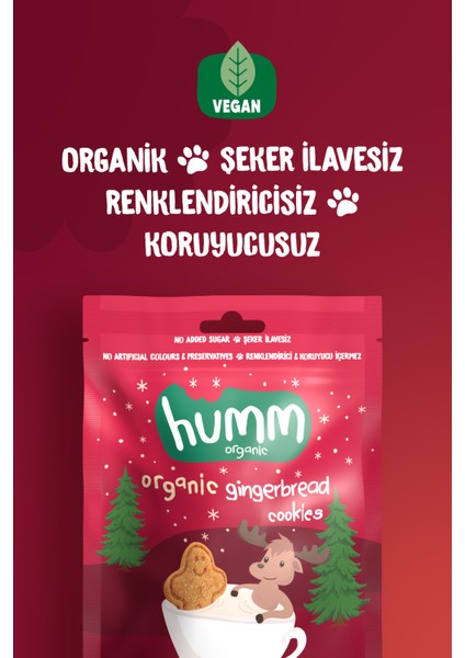 Humm Organic - Organik Vegan Zencefilli ve Tarçınlı Kurabiye Atıştırmalık Paketi - 6 Adet