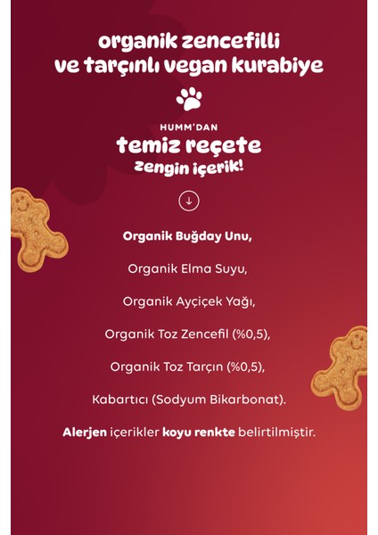 Humm Organic - Organik Vegan Zencefilli ve Tarçınlı Kurabiye Atıştırmalık Paketi - 6 Adet