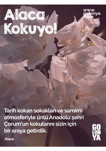 Alaca Kokulu Premium Kolonya - 250 ml Cam Şişe indirimleri