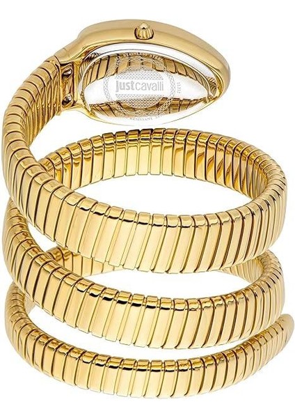 Just Cavallı JC1L232M0025 Kadın Kol Saati modelleri