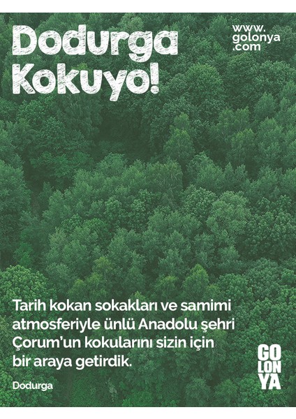 Dodurga Kokulu Premium Kolonya - 250 ml Cam Şişe