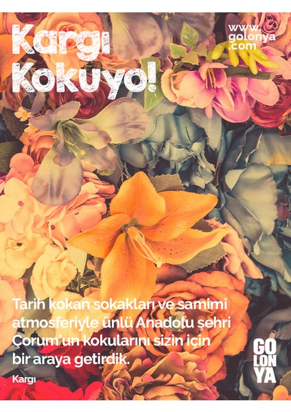 Kargı Kokulu Premium Kolonya - 250 ml Cam Şişe indirimleri