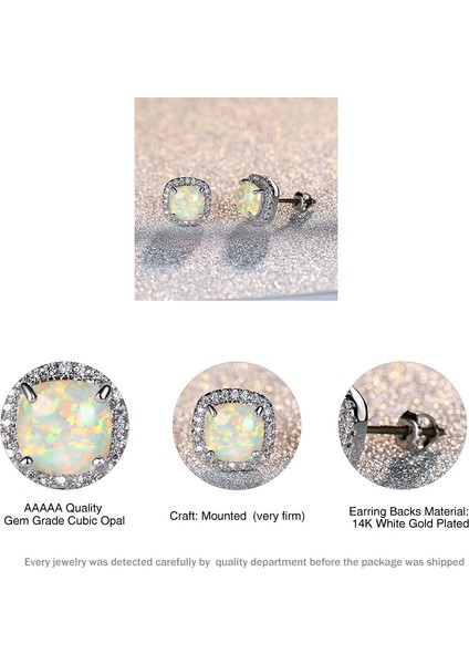 Beyaz Altın Kaplama Oluşturulan Pembe Pırlanta Küpe (Yurt Dışından) modelleri