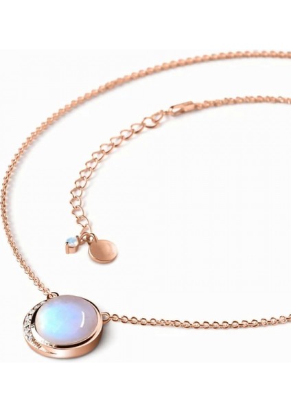 S925 Gümüş Yuvarlak Aytaşı Rose Altın Kolye Kolye (Yurt Dışından) fiyatları