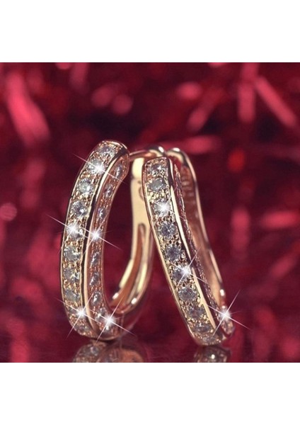 Kadınlar Için Elmas Halka Küpeler, Lüks Yuvarlak Elmas Küpeler, Parlayan Lüks Yuvarlak Elmas Küpeler, Kadın Gümüş Altın Rosegold Glitter, Rose Gold (Yurt Dışından)