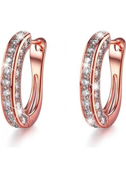 Kadınlar Için Elmas Halka Küpeler, Lüks Yuvarlak Elmas Küpeler, Parlayan Lüks Yuvarlak Elmas Küpeler, Kadın Gümüş Altın Rosegold Glitter, Rose Gold (Yurt Dışından) fiyatları