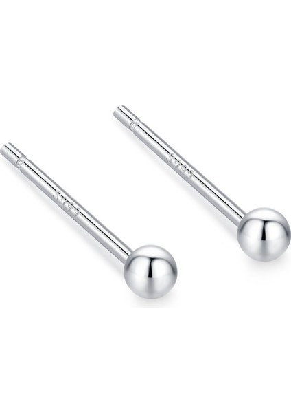 2 Çift 999 Ayar Gümüş Saplama Küpe, Hipoalerjenik Çiviler, 1,5 Mm'den 4 Mm'ye Kadar Küçük Küpeler, Kadınlar ve Erkekler Için Zarif Takı (2,5 mm Katı Yuvarlak Kafa) (Yurt Dışından)