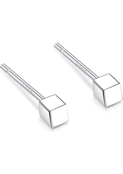 2 Çift 999 Ayar Gümüş Saplama Küpe, Hipoalerjenik Çiviler, 1,5 Mm'den 4 Mm'ye Kadar Küçük Küpeler, Kadınlar ve Erkekler Için Zarif Takı (Kare) (Yurt Dışından)