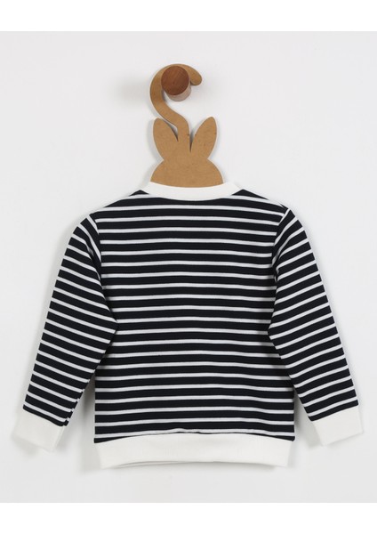Erkek Çocuk Çizgili Baskı Detaylı Sweatshirt (6AY-4YAŞ) fiyatları