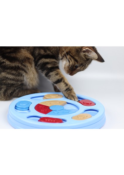 North Whiskers Petpuzzle Kedi Köpek Bulmacası