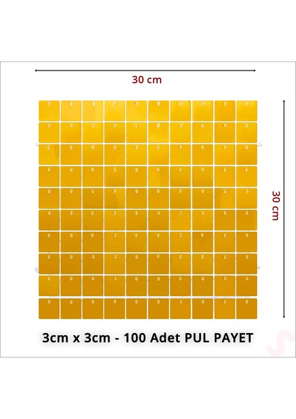 Işıltılı Pul Payetli Arka Fon Paneli, 30CM x 30CM - Altın fiyatları