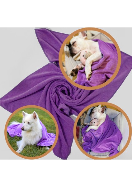 Köpek Havlusu, Süper Su Emici Mikrofiber, Mor, 80X120 Cm