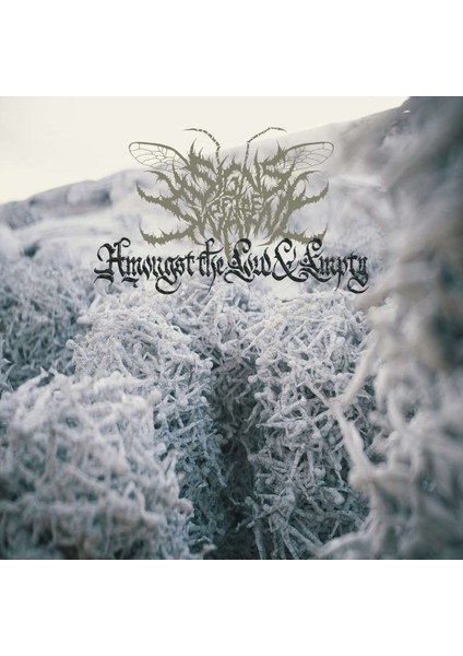 Amongst The Low & Empty