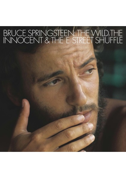 The Wıld, The Innocent And The E Street