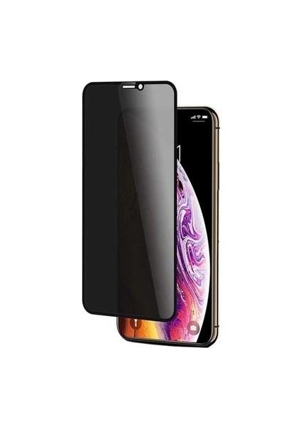 Apple iPhone x Hayalet Privacy Fiber Nano Ekran Koruyucu