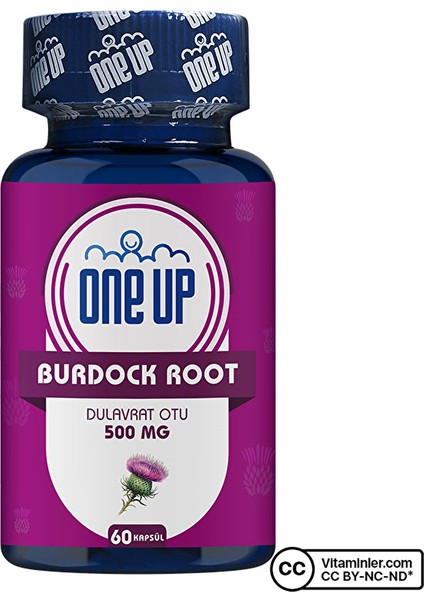 Burdock Root Dulavrat Otu 500 Mg 60 Kapsül