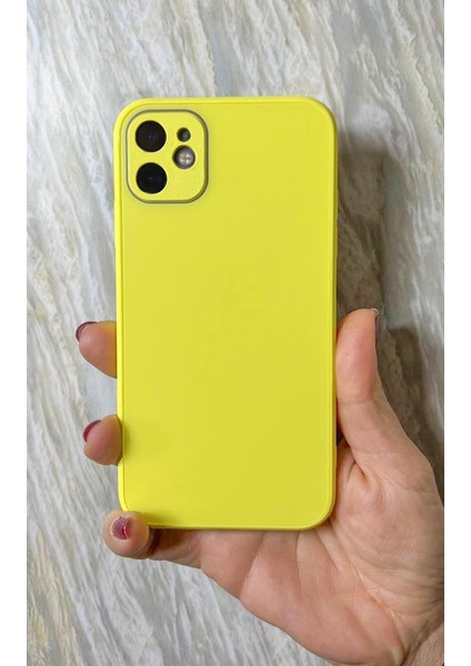 Apple iPhone 12 Pro Mat Elektro Cam Kamera Korumalı Kılıf